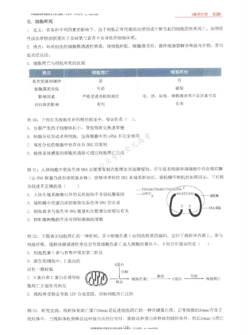 2024张鹏生物一轮复习讲义上_2024-2025高三（6-6月题库）_2024年09月试卷_张鹏