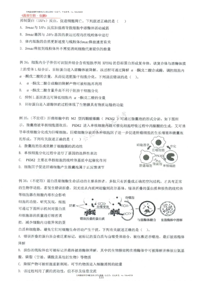 2024张鹏生物一轮复习讲义上_2024-2025高三（6-6月题库）_2024年09月试卷_张鹏