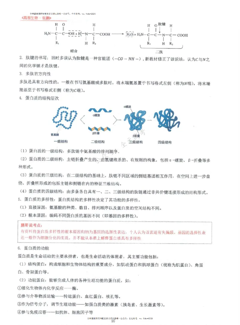 2024张鹏生物一轮复习讲义上_2024-2025高三（6-6月题库）_2024年09月试卷_张鹏