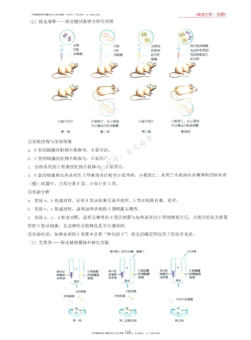 2024张鹏生物一轮复习讲义上_2024-2025高三（6-6月题库）_2024年09月试卷_张鹏