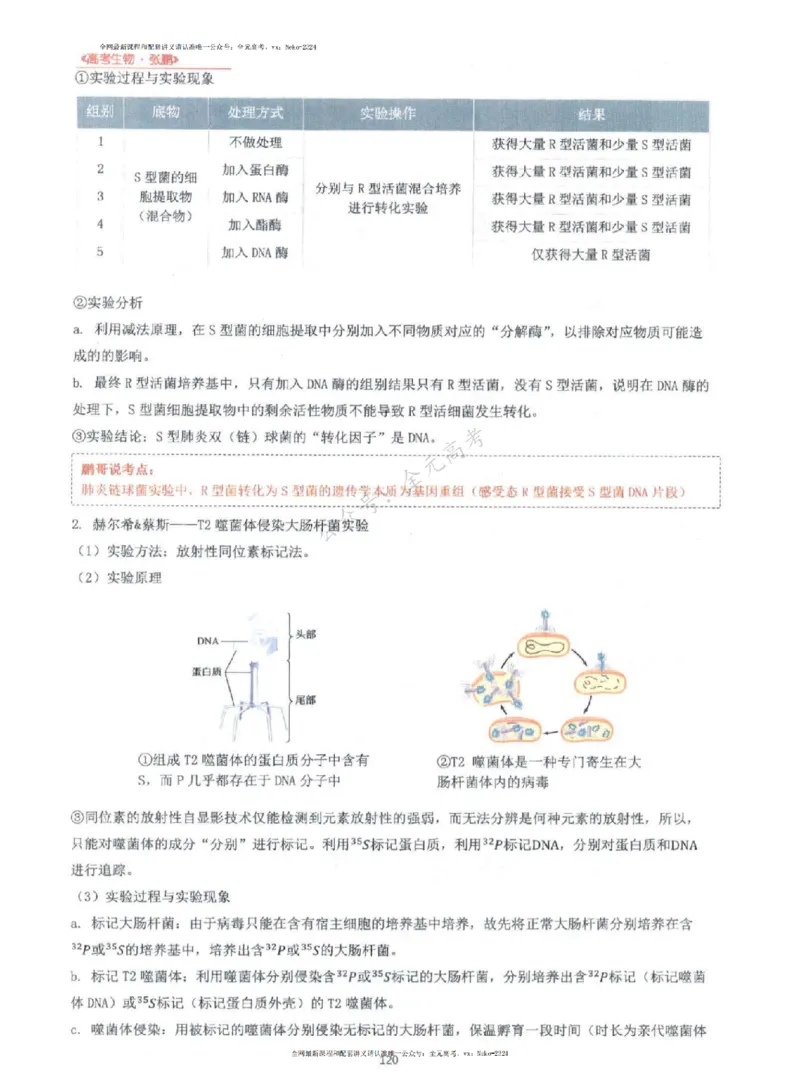 2024张鹏生物一轮复习讲义上_2024-2025高三（6-6月题库）_2024年09月试卷_张鹏