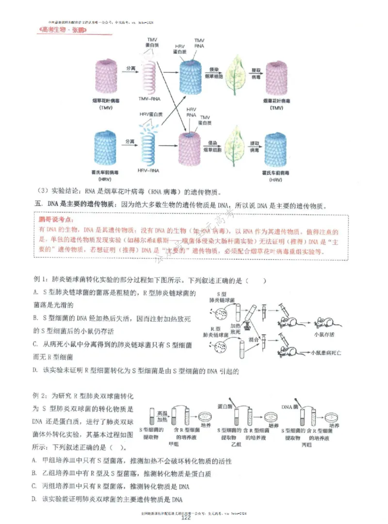 2024张鹏生物一轮复习讲义上_2024-2025高三（6-6月题库）_2024年09月试卷_张鹏