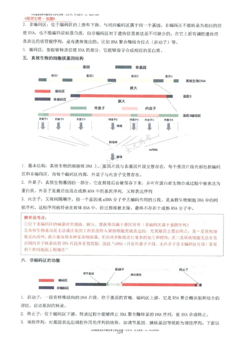 2024张鹏生物一轮复习讲义上_2024-2025高三（6-6月题库）_2024年09月试卷_张鹏