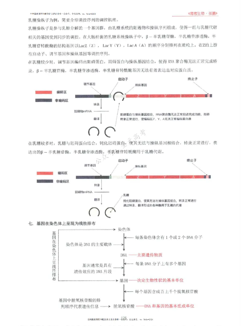 2024张鹏生物一轮复习讲义上_2024-2025高三（6-6月题库）_2024年09月试卷_张鹏