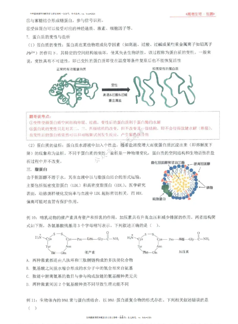 2024张鹏生物一轮复习讲义上_2024-2025高三（6-6月题库）_2024年09月试卷_张鹏