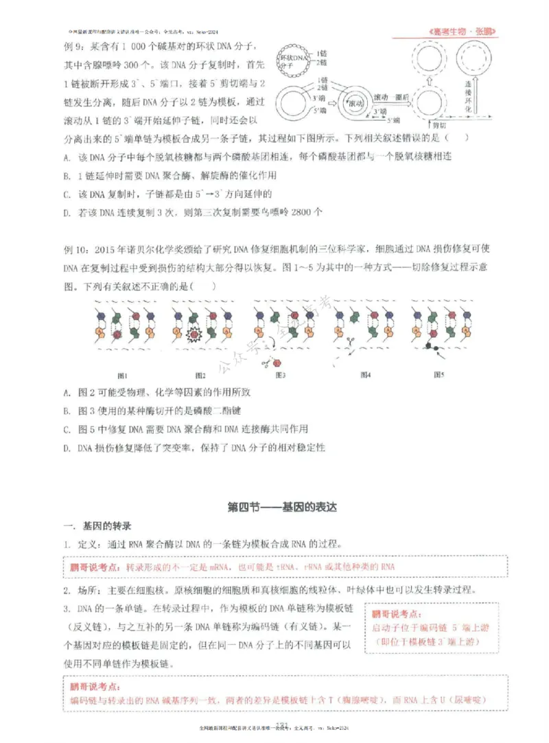 2024张鹏生物一轮复习讲义上_2024-2025高三（6-6月题库）_2024年09月试卷_张鹏
