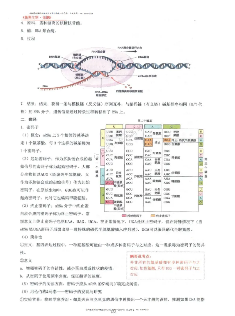 2024张鹏生物一轮复习讲义上_2024-2025高三（6-6月题库）_2024年09月试卷_张鹏