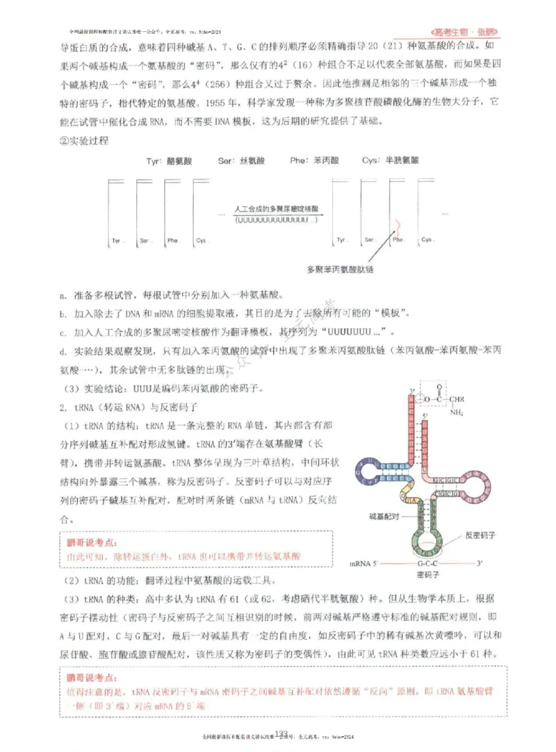 2024张鹏生物一轮复习讲义上_2024-2025高三（6-6月题库）_2024年09月试卷_张鹏