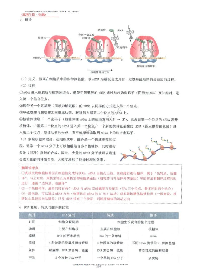 2024张鹏生物一轮复习讲义上_2024-2025高三（6-6月题库）_2024年09月试卷_张鹏