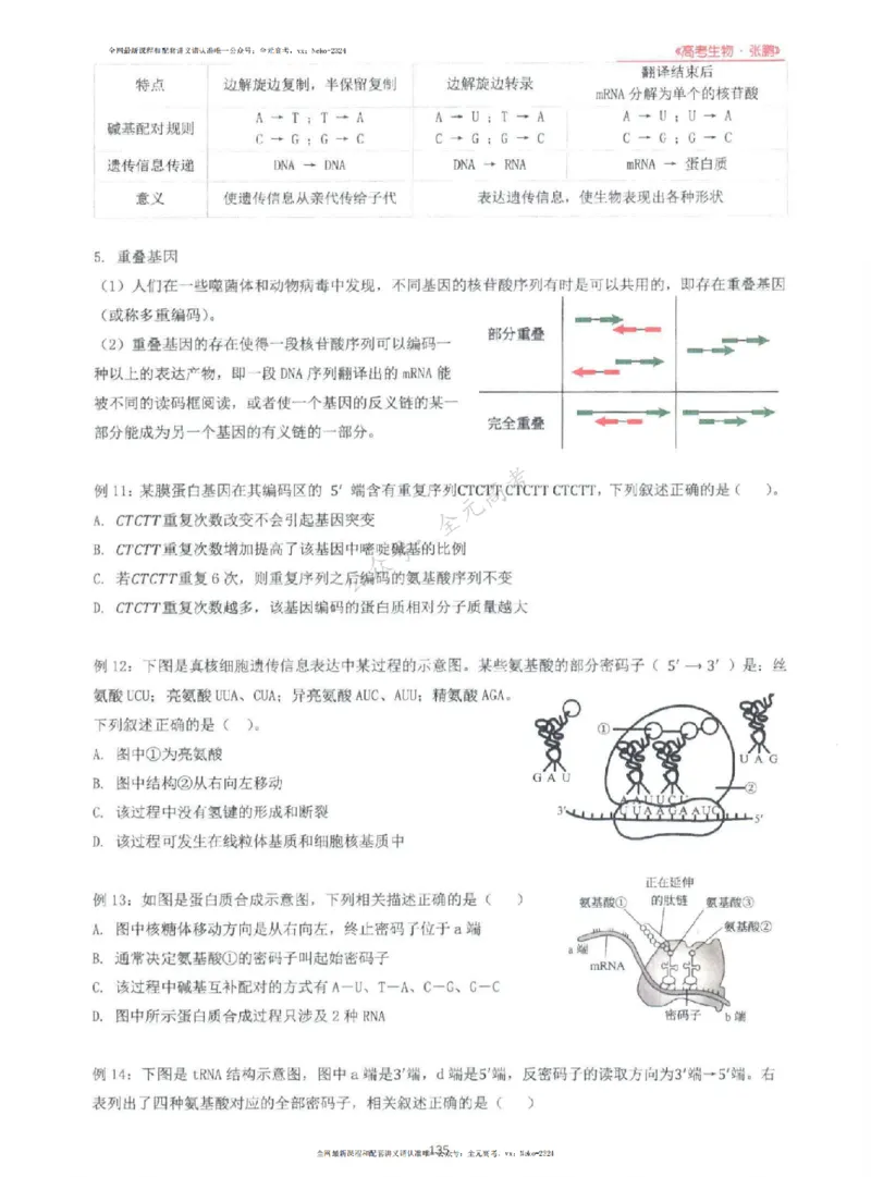 2024张鹏生物一轮复习讲义上_2024-2025高三（6-6月题库）_2024年09月试卷_张鹏