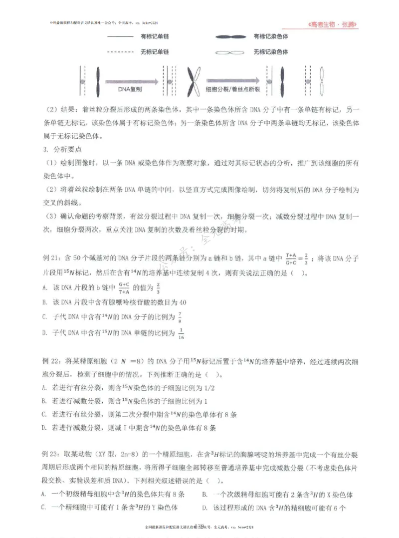 2024张鹏生物一轮复习讲义上_2024-2025高三（6-6月题库）_2024年09月试卷_张鹏