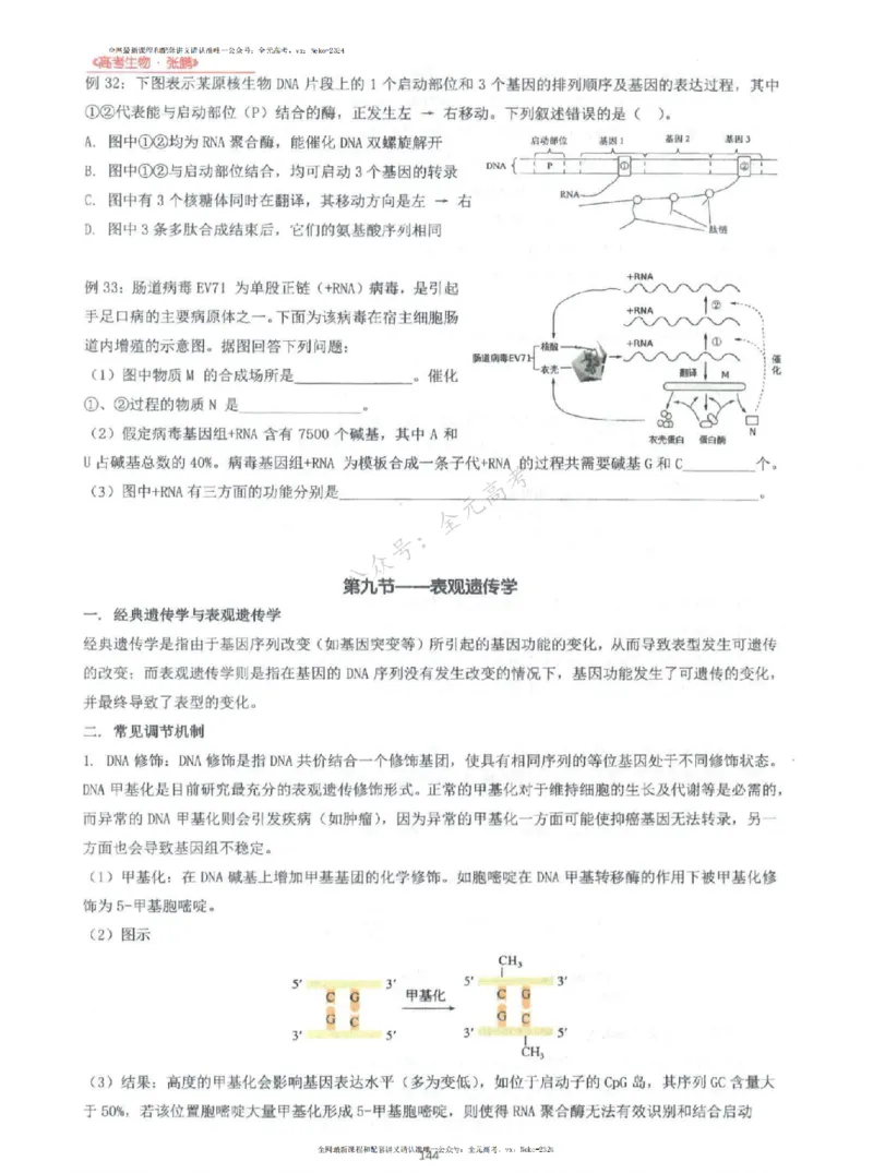 2024张鹏生物一轮复习讲义上_2024-2025高三（6-6月题库）_2024年09月试卷_张鹏