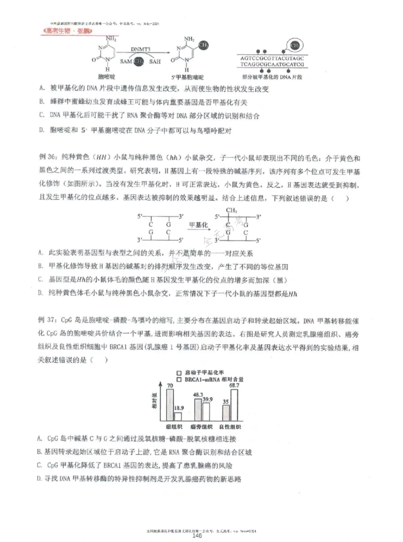 2024张鹏生物一轮复习讲义上_2024-2025高三（6-6月题库）_2024年09月试卷_张鹏