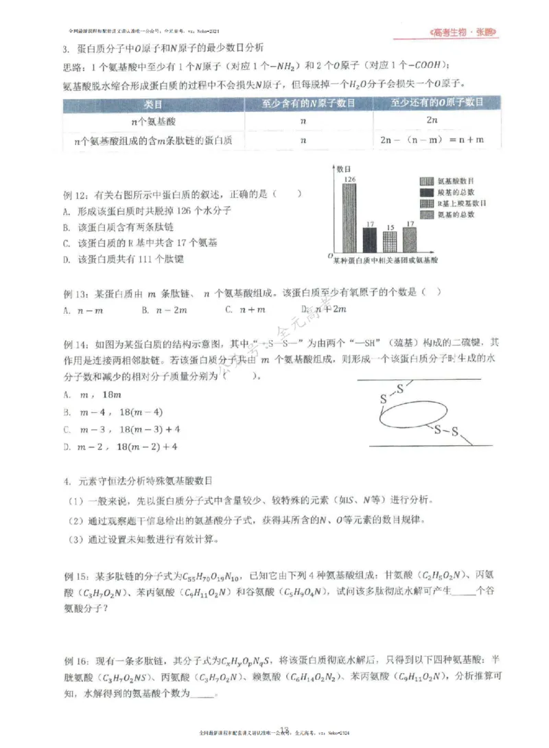 2024张鹏生物一轮复习讲义上_2024-2025高三（6-6月题库）_2024年09月试卷_张鹏