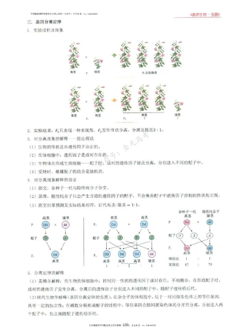 2024张鹏生物一轮复习讲义上_2024-2025高三（6-6月题库）_2024年09月试卷_张鹏