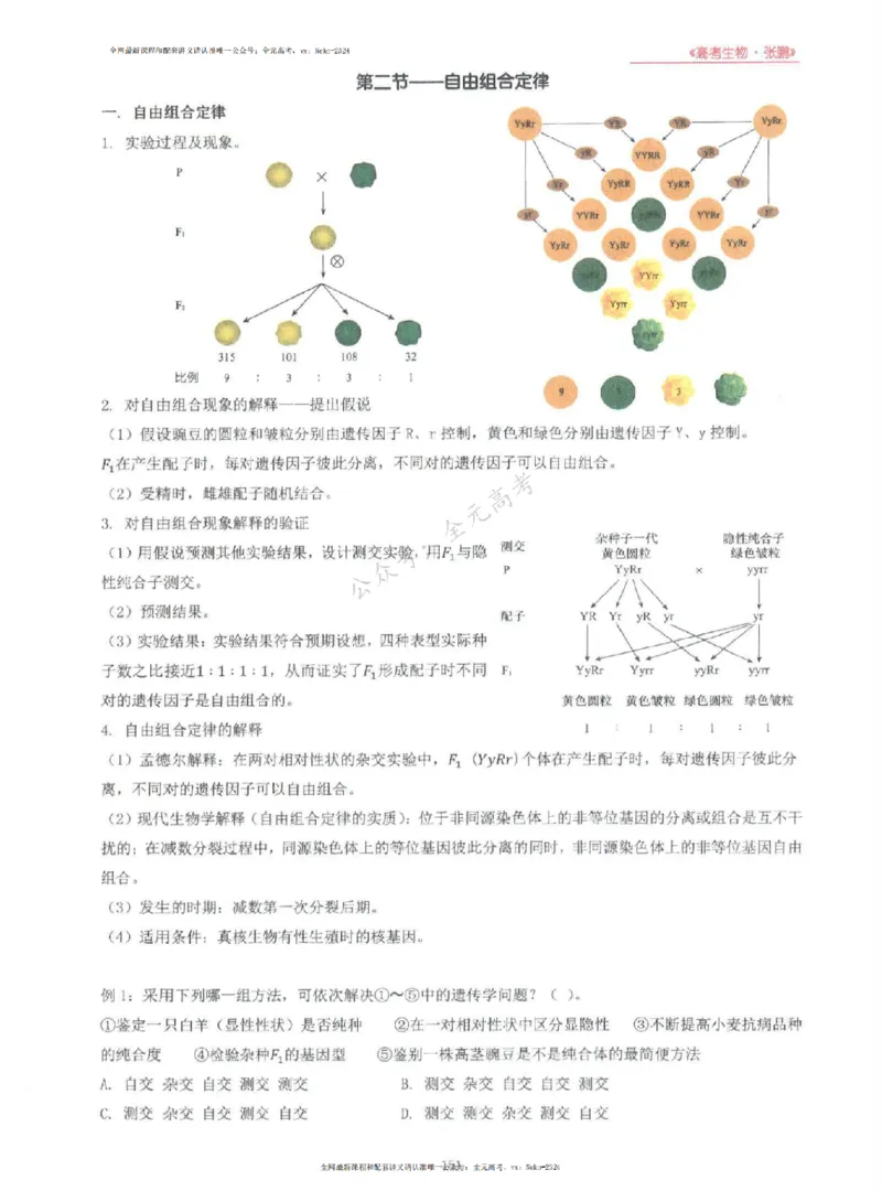 2024张鹏生物一轮复习讲义上_2024-2025高三（6-6月题库）_2024年09月试卷_张鹏