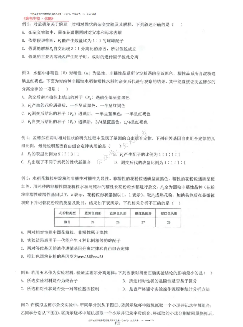 2024张鹏生物一轮复习讲义上_2024-2025高三（6-6月题库）_2024年09月试卷_张鹏