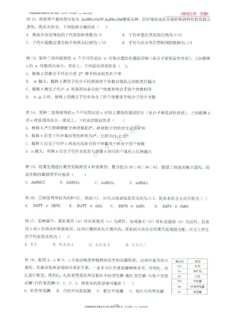 2024张鹏生物一轮复习讲义上_2024-2025高三（6-6月题库）_2024年09月试卷_张鹏