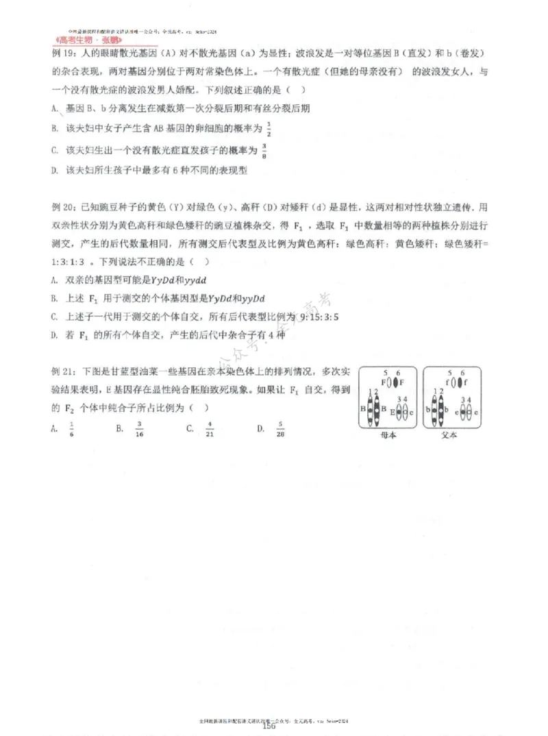 2024张鹏生物一轮复习讲义上_2024-2025高三（6-6月题库）_2024年09月试卷_张鹏