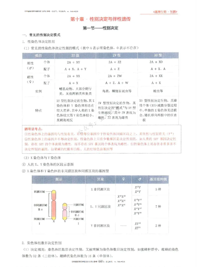 2024张鹏生物一轮复习讲义上_2024-2025高三（6-6月题库）_2024年09月试卷_张鹏