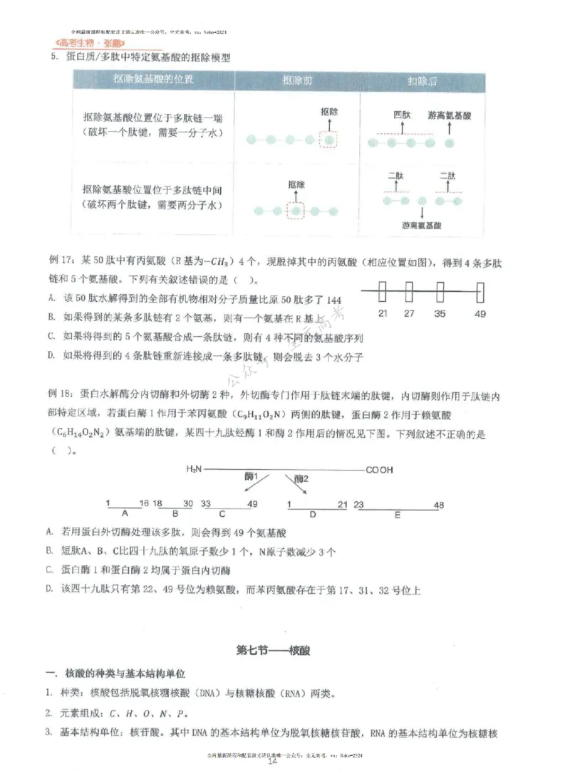 2024张鹏生物一轮复习讲义上_2024-2025高三（6-6月题库）_2024年09月试卷_张鹏