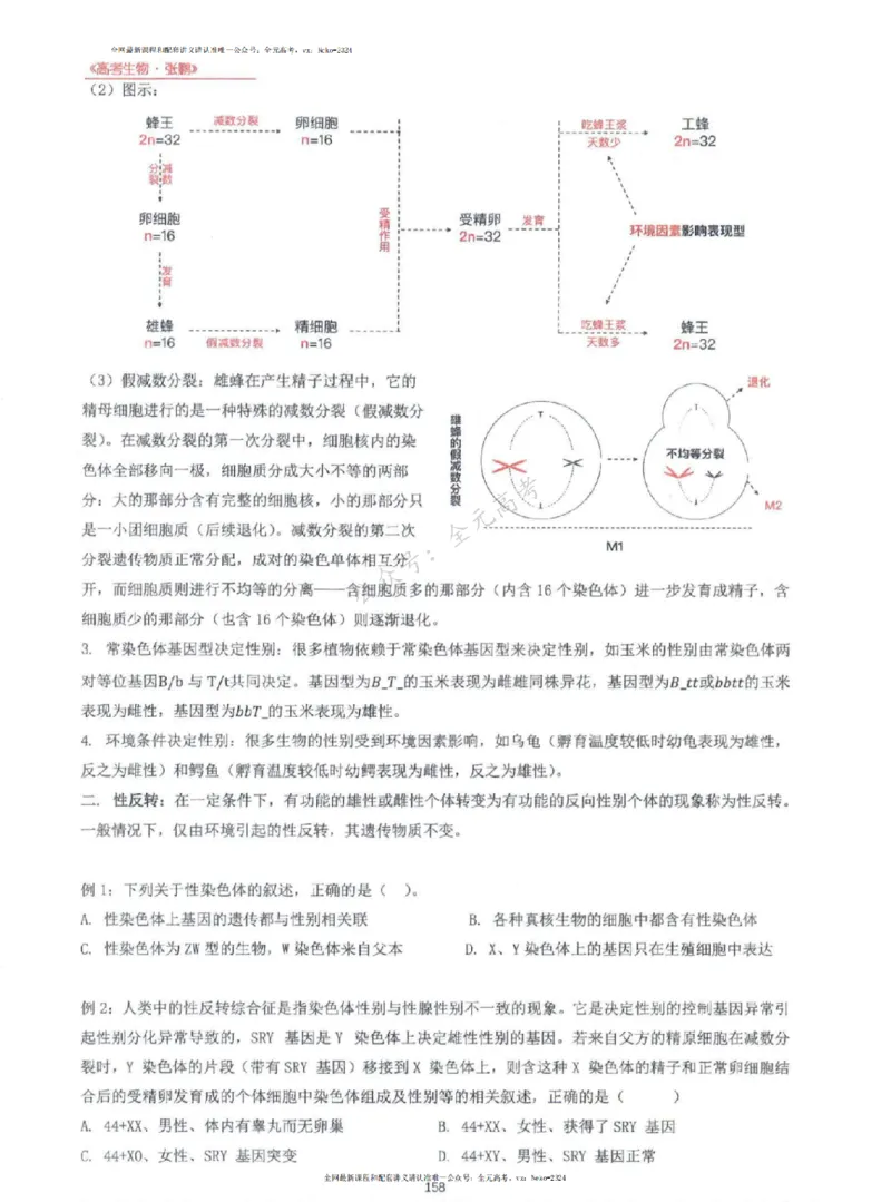 2024张鹏生物一轮复习讲义上_2024-2025高三（6-6月题库）_2024年09月试卷_张鹏