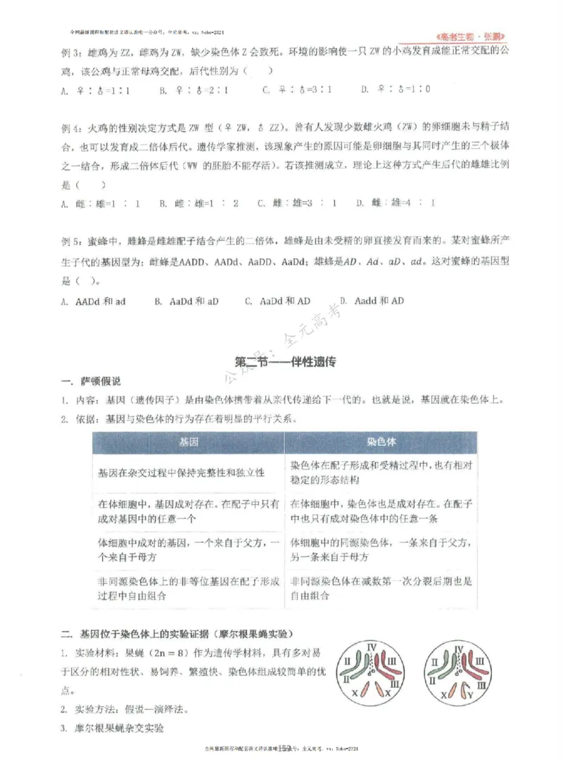 2024张鹏生物一轮复习讲义上_2024-2025高三（6-6月题库）_2024年09月试卷_张鹏
