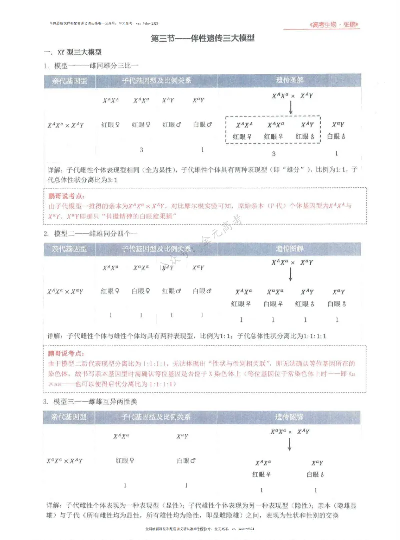 2024张鹏生物一轮复习讲义上_2024-2025高三（6-6月题库）_2024年09月试卷_张鹏