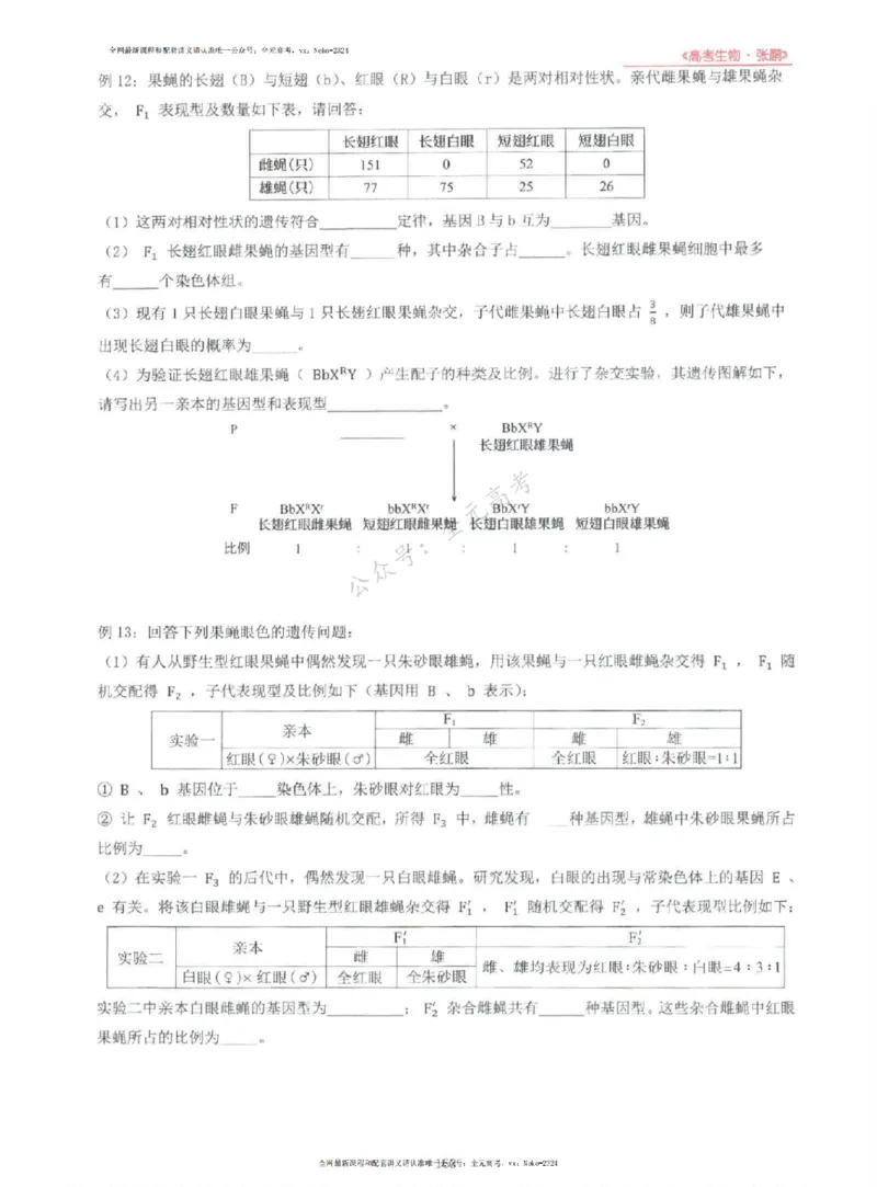 2024张鹏生物一轮复习讲义上_2024-2025高三（6-6月题库）_2024年09月试卷_张鹏