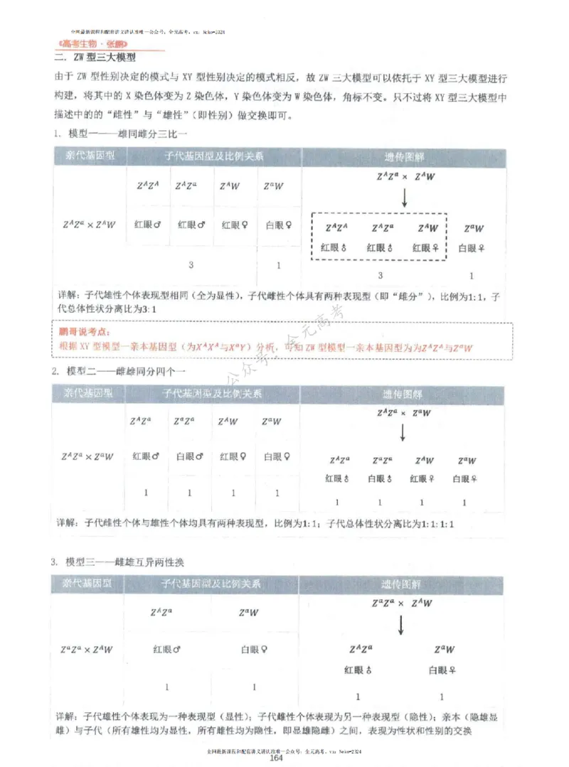 2024张鹏生物一轮复习讲义上_2024-2025高三（6-6月题库）_2024年09月试卷_张鹏