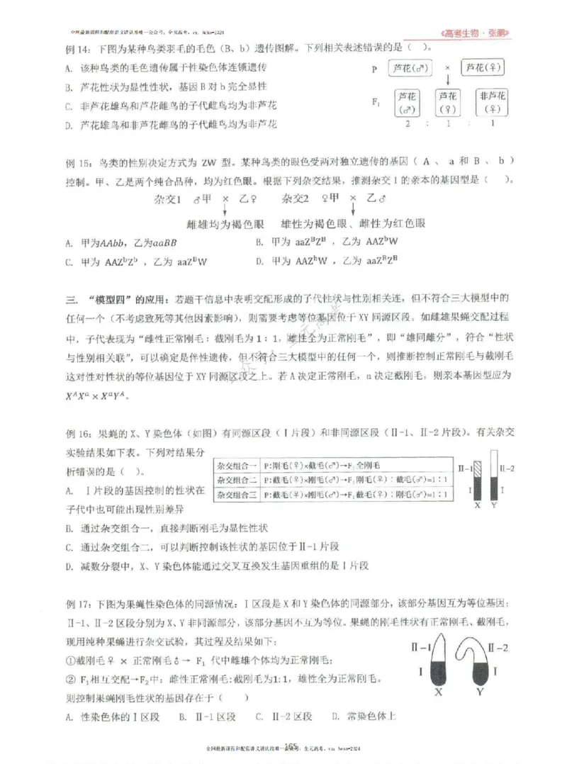 2024张鹏生物一轮复习讲义上_2024-2025高三（6-6月题库）_2024年09月试卷_张鹏