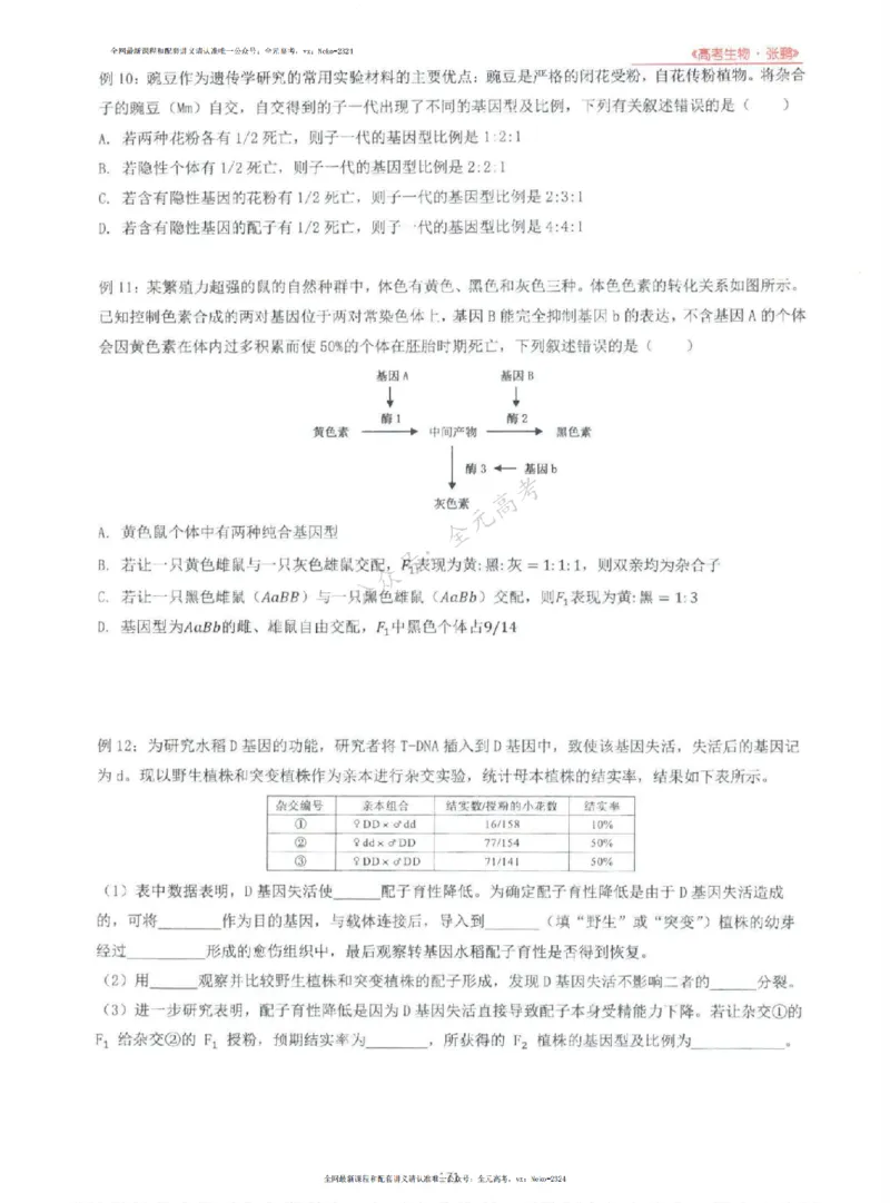 2024张鹏生物一轮复习讲义上_2024-2025高三（6-6月题库）_2024年09月试卷_张鹏