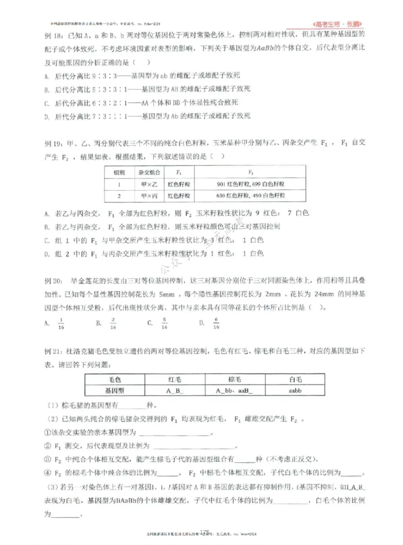 2024张鹏生物一轮复习讲义上_2024-2025高三（6-6月题库）_2024年09月试卷_张鹏