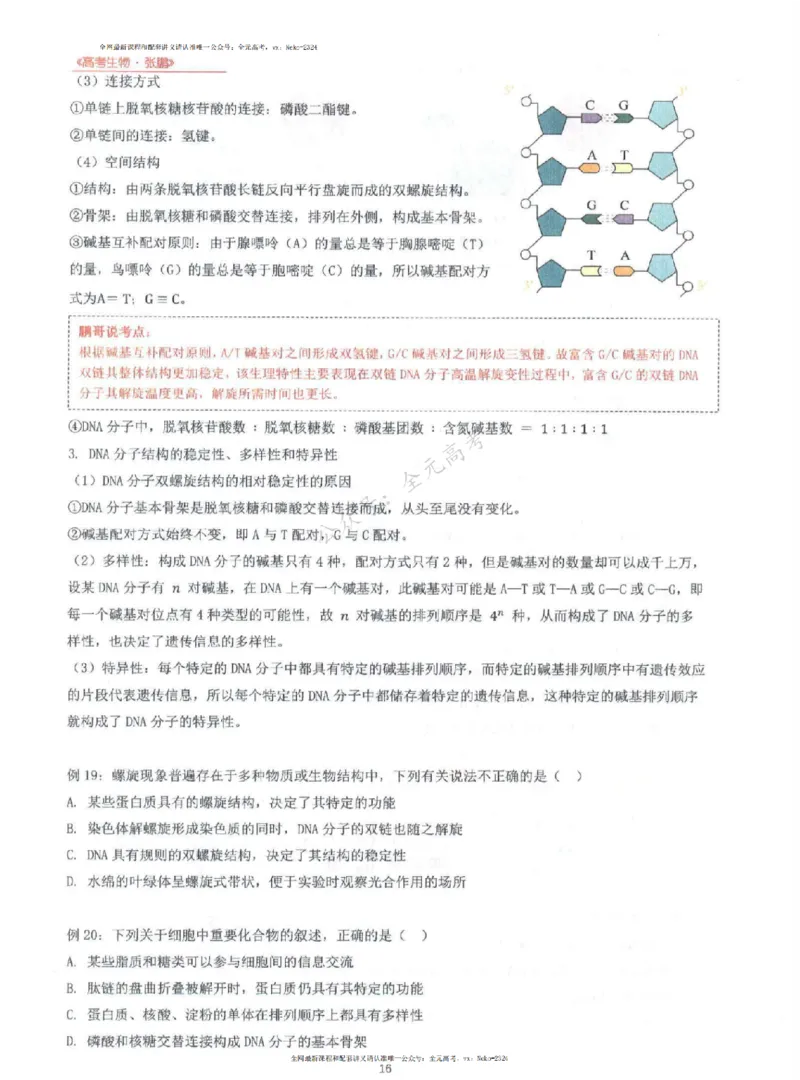 2024张鹏生物一轮复习讲义上_2024-2025高三（6-6月题库）_2024年09月试卷_张鹏