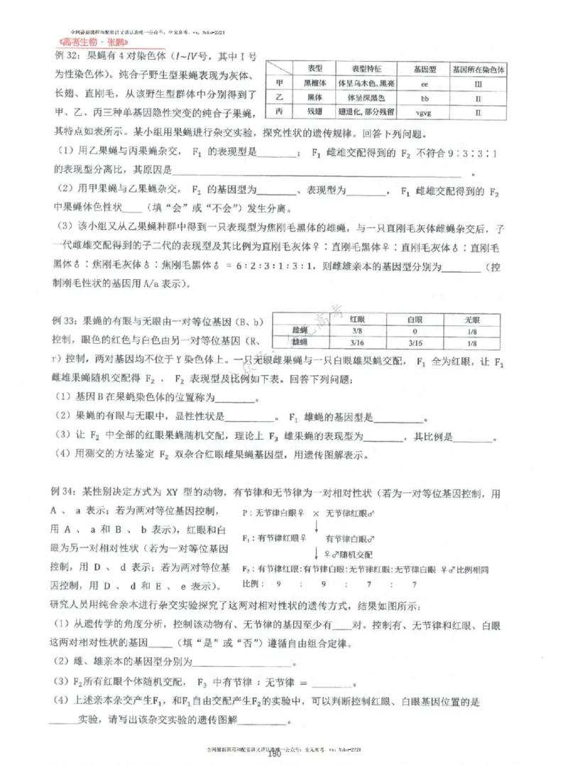 2024张鹏生物一轮复习讲义上_2024-2025高三（6-6月题库）_2024年09月试卷_张鹏
