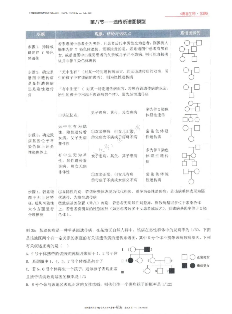 2024张鹏生物一轮复习讲义上_2024-2025高三（6-6月题库）_2024年09月试卷_张鹏