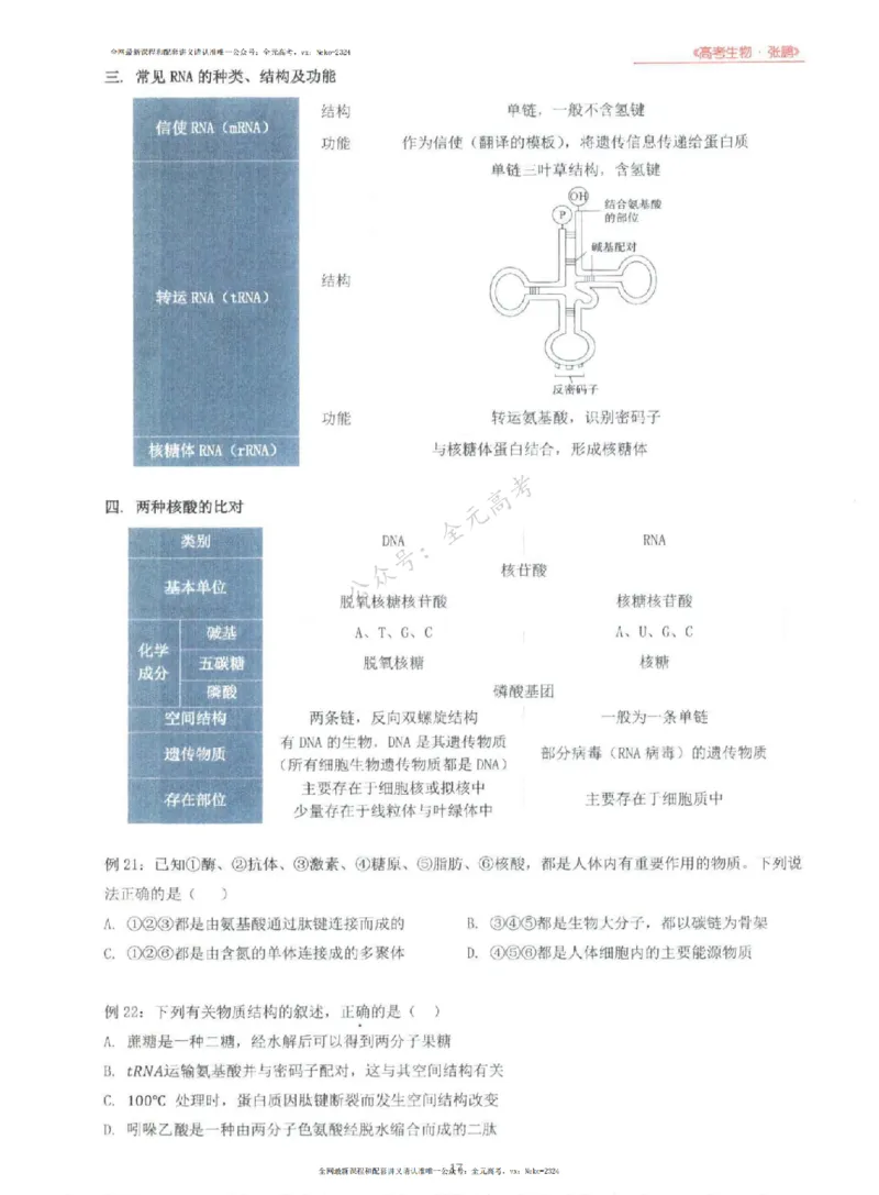 2024张鹏生物一轮复习讲义上_2024-2025高三（6-6月题库）_2024年09月试卷_张鹏