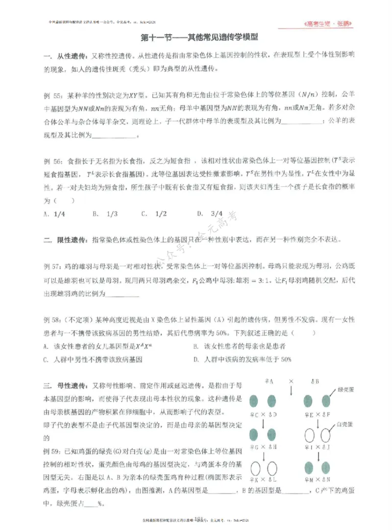 2024张鹏生物一轮复习讲义上_2024-2025高三（6-6月题库）_2024年09月试卷_张鹏