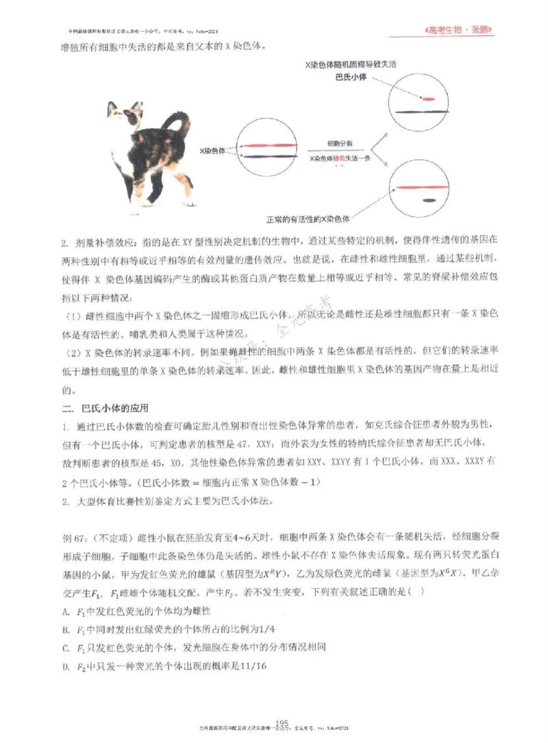 2024张鹏生物一轮复习讲义上_2024-2025高三（6-6月题库）_2024年09月试卷_张鹏