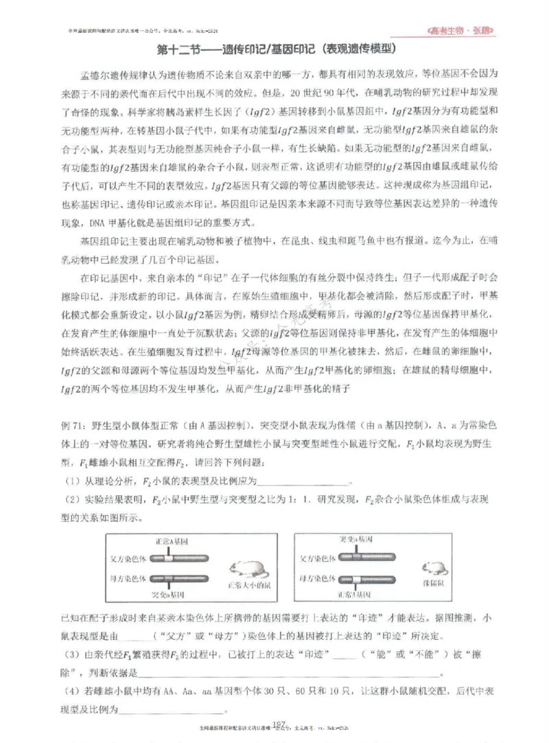 2024张鹏生物一轮复习讲义上_2024-2025高三（6-6月题库）_2024年09月试卷_张鹏