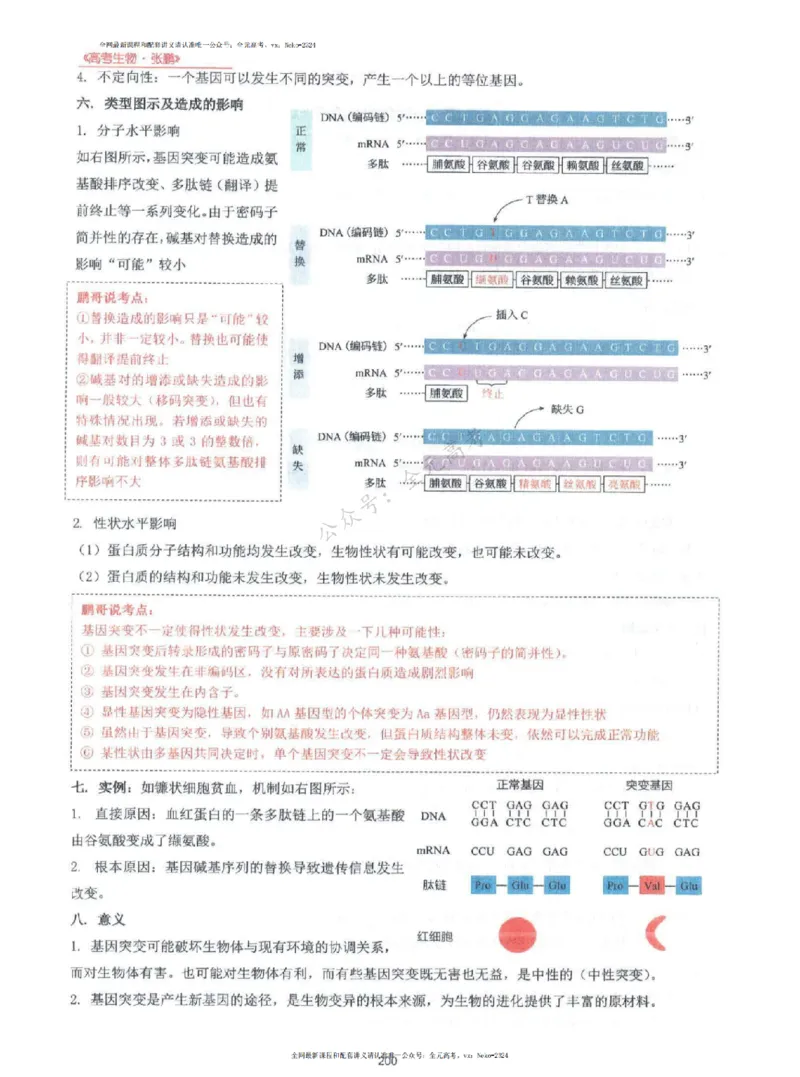 2024张鹏生物一轮复习讲义上_2024-2025高三（6-6月题库）_2024年09月试卷_张鹏