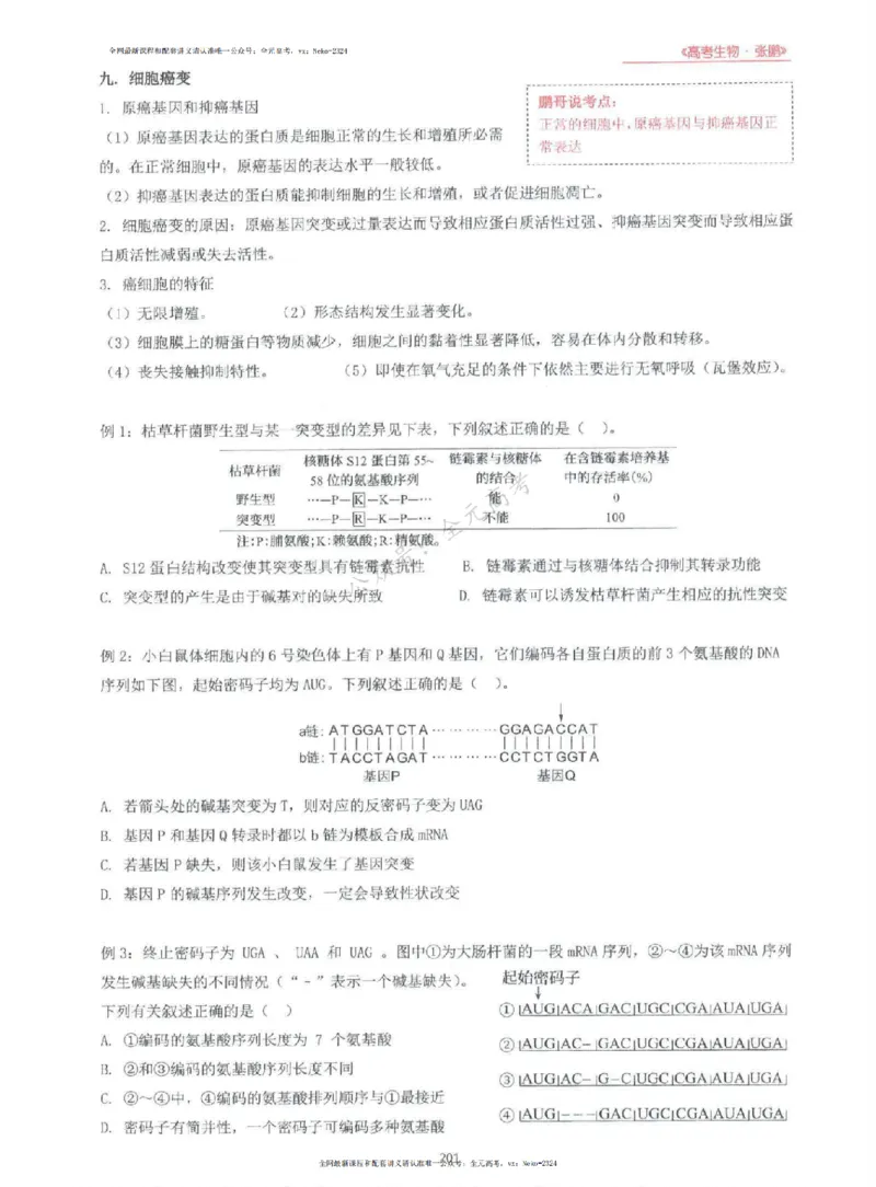 2024张鹏生物一轮复习讲义上_2024-2025高三（6-6月题库）_2024年09月试卷_张鹏