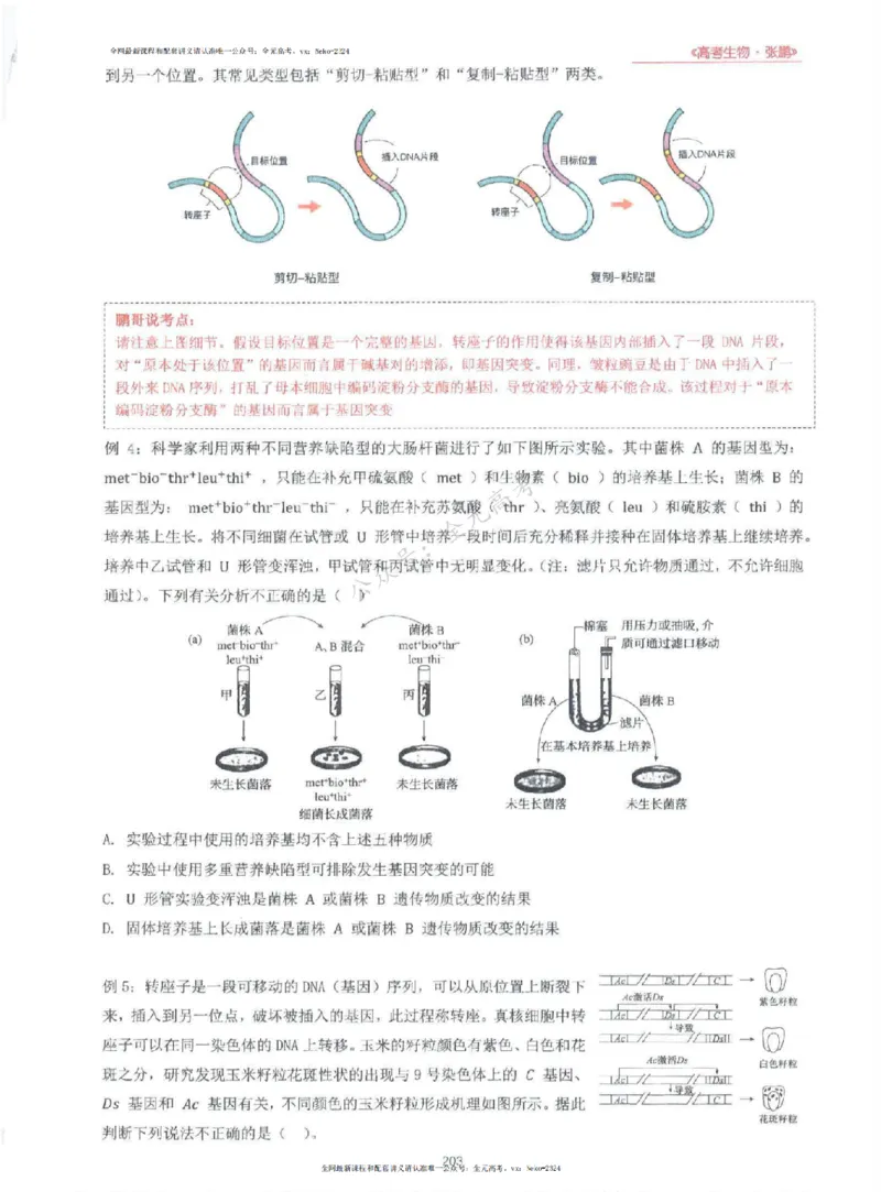 2024张鹏生物一轮复习讲义上_2024-2025高三（6-6月题库）_2024年09月试卷_张鹏