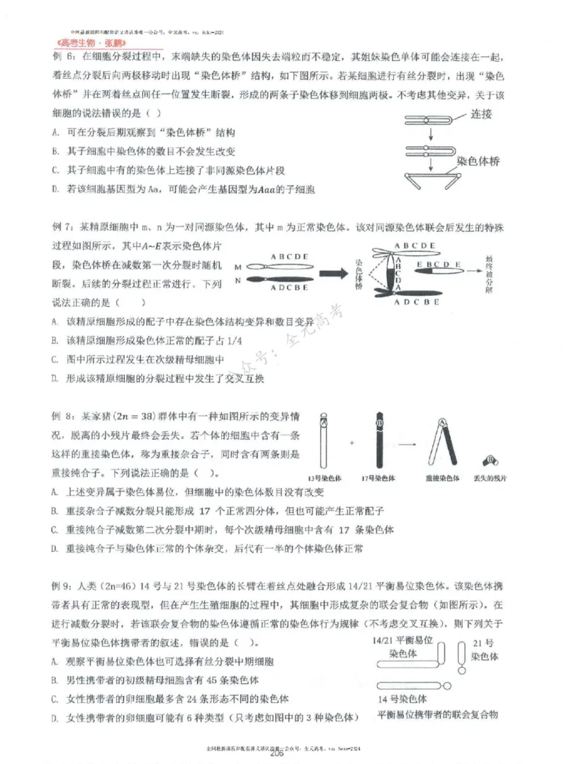 2024张鹏生物一轮复习讲义上_2024-2025高三（6-6月题库）_2024年09月试卷_张鹏