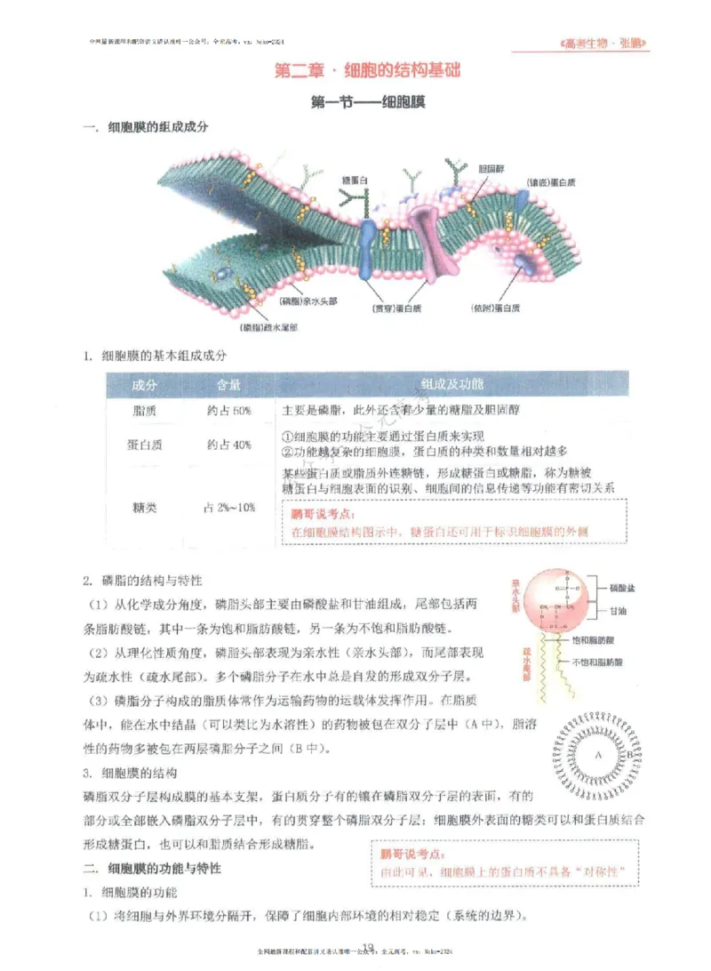 2024张鹏生物一轮复习讲义上_2024-2025高三（6-6月题库）_2024年09月试卷_张鹏