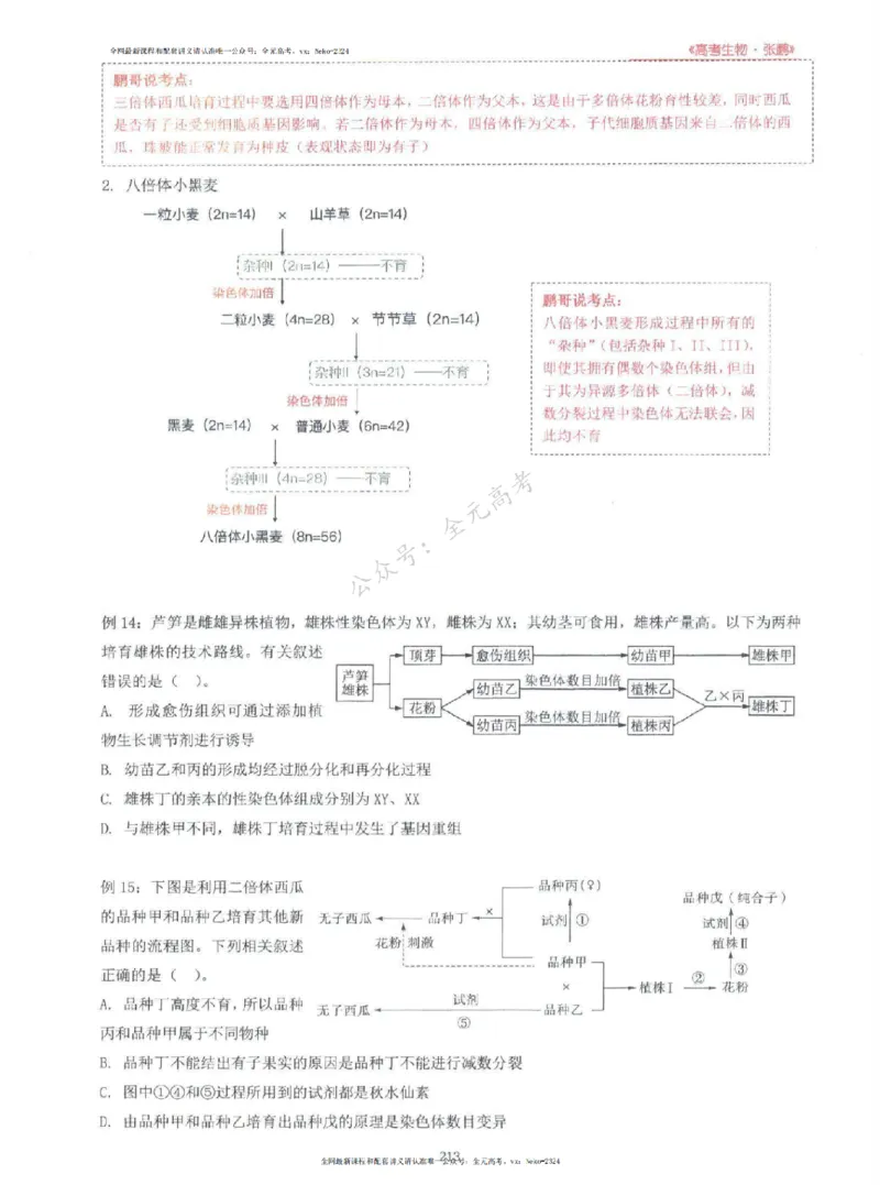 2024张鹏生物一轮复习讲义上_2024-2025高三（6-6月题库）_2024年09月试卷_张鹏