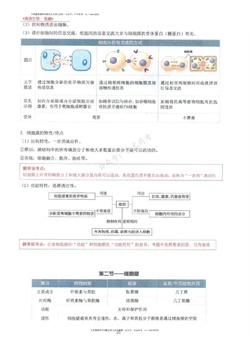 2024张鹏生物一轮复习讲义上_2024-2025高三（6-6月题库）_2024年09月试卷_张鹏