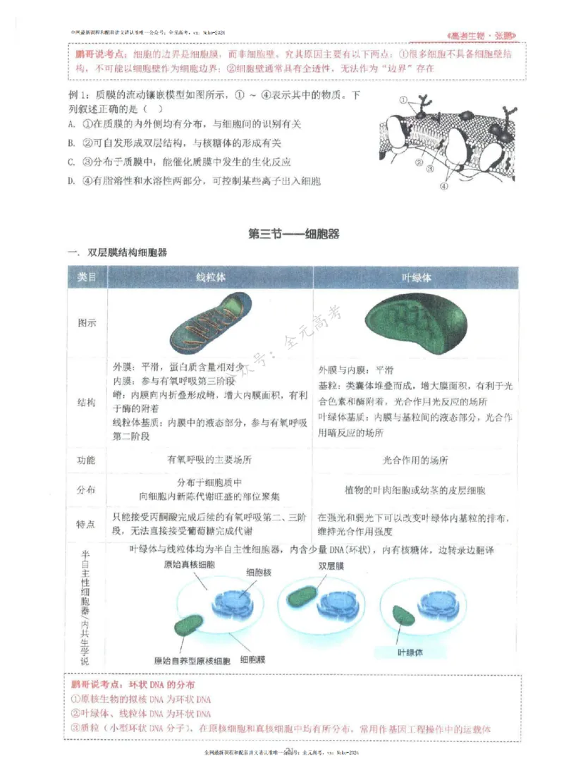 2024张鹏生物一轮复习讲义上_2024-2025高三（6-6月题库）_2024年09月试卷_张鹏