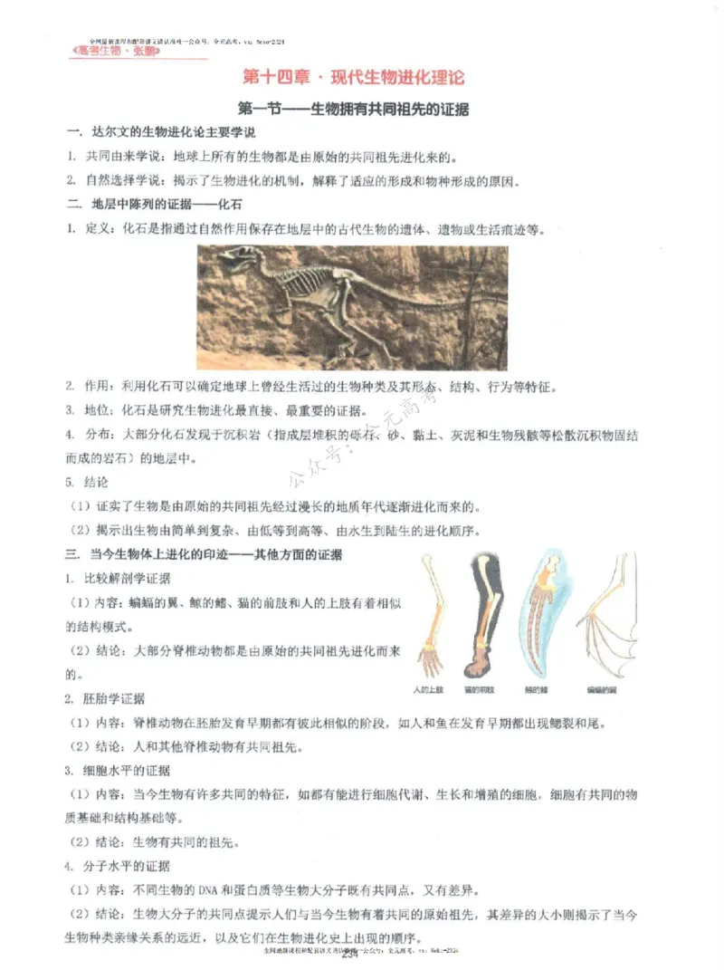 2024张鹏生物一轮复习讲义上_2024-2025高三（6-6月题库）_2024年09月试卷_张鹏