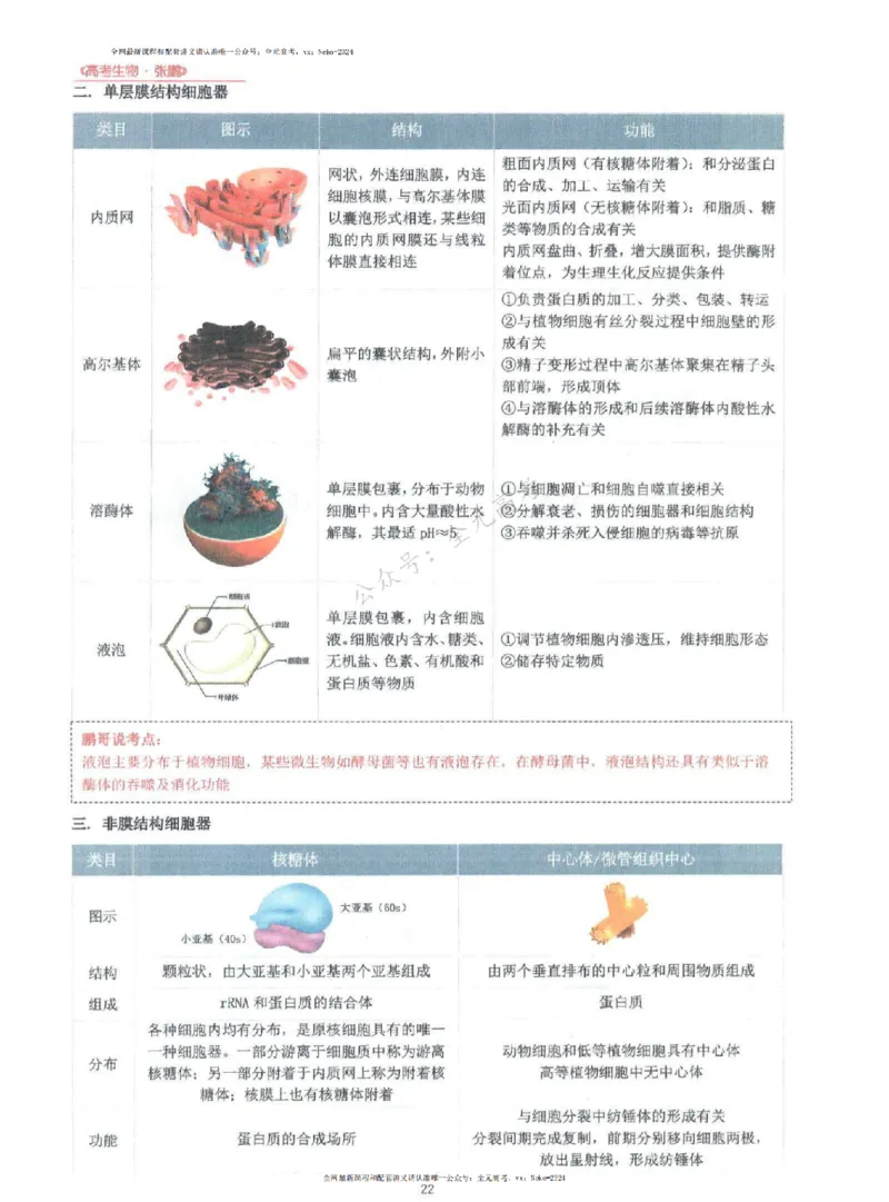 2024张鹏生物一轮复习讲义上_2024-2025高三（6-6月题库）_2024年09月试卷_张鹏